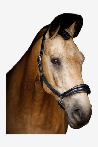 SD Design Grimma Mystery