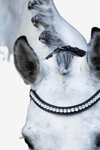 SD Design Mystery Träns Rundsytt