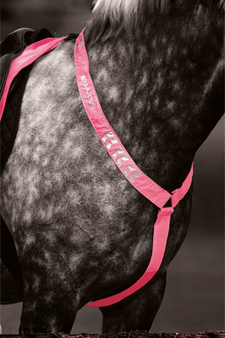 Shires Equi-Flector Förbygel Reflex