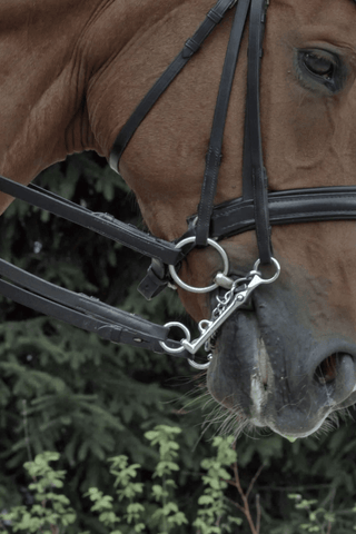 Novocontact 2-Part Bridong Bit
