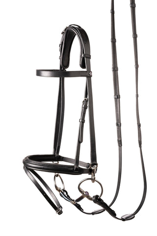 Hamburg Training Bridle
