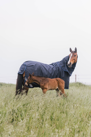 Udedækken All Weather Comfort 100g