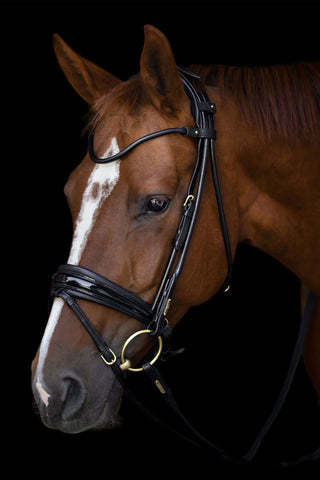 Bridle Edinburgh