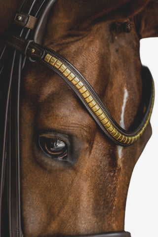 Clincher Browband