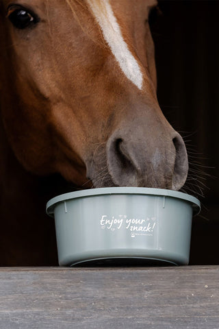Treat Bowl 2 L with Lid
