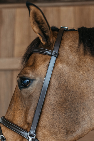 Training Bridle